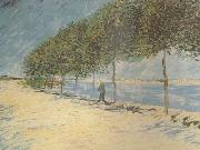 Vincent Van Gogh Wald along the Banks of the Seine near Asnieres (nn04) Spain oil painting artist
